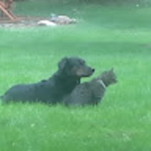 Meet your Posher, Thomas